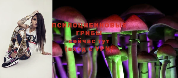 марки nbome Арсеньев